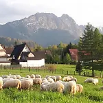Zolta Turnicka *