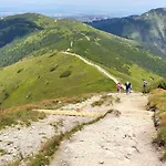 Zolta Turnicka