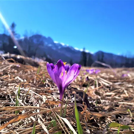 Zolta Turnicka Ubytování v soukromí *