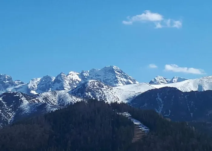 Zolta Turnicka בית אירוח זקופאנה