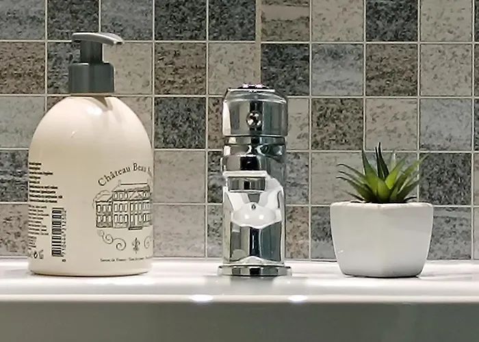 Zolta Turnicka בית אירוח *